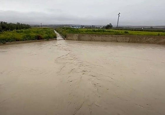 El parque inundable absorbe el agua de arroyo El Encantado