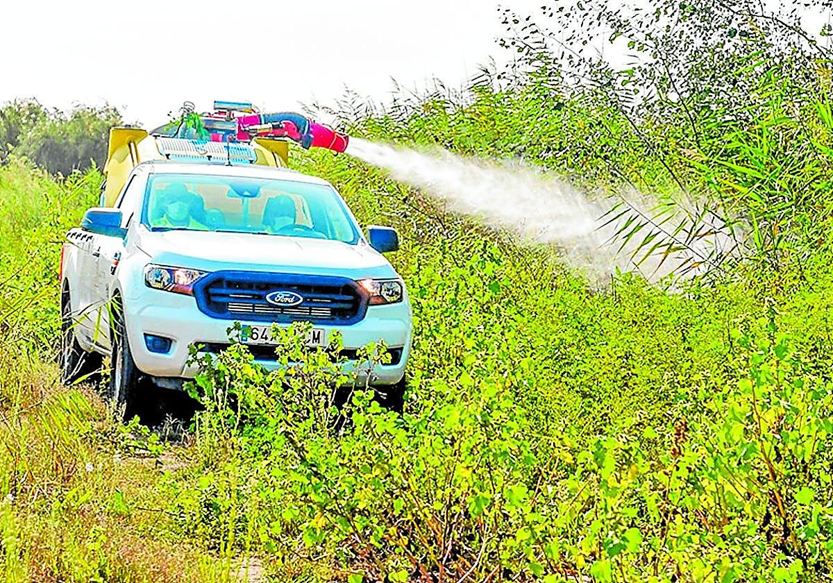 Tareas de fumigación contra el mosquito transmisor del virus del Nilo en la provincia de Sevilla.