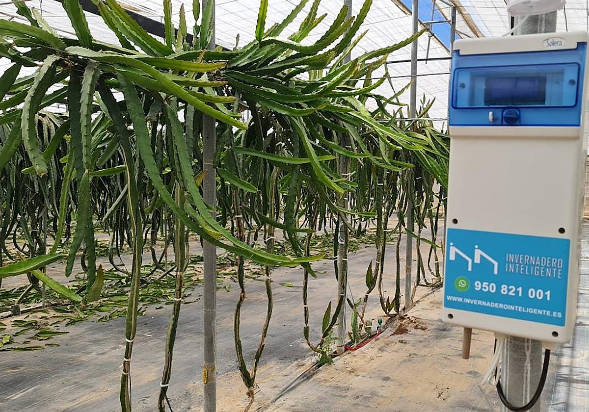 La tecnología de Invernadero Inteligente, pieza clave en la finca experimental UAL-Anecoop