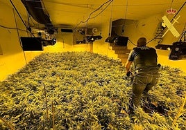 Un agente de Guardia Civil en la plantación interior localizada en Tabernas.