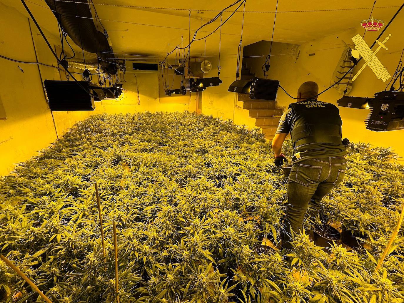 Un agente de Guardia Civil en la plantación interior localizada en Tabernas.