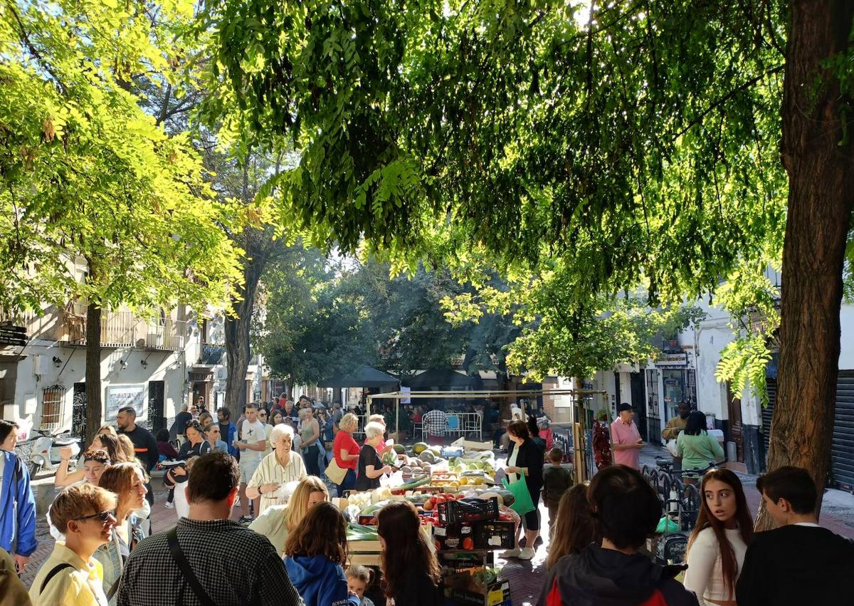 Imagen secundaria 1 - Santi al mando de los churros en Plaza Larga, ambiente en la plaza y la larga cola para el chocolate.