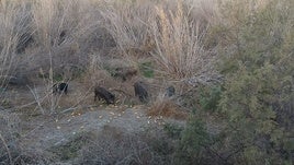 Almería recibe una inesperada visita de sus vecinos del Andarax