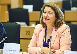 El PP pide a la Comisión reconocer el esfuerzo de la flota del Mediterráneo para evitar nuevos recortes