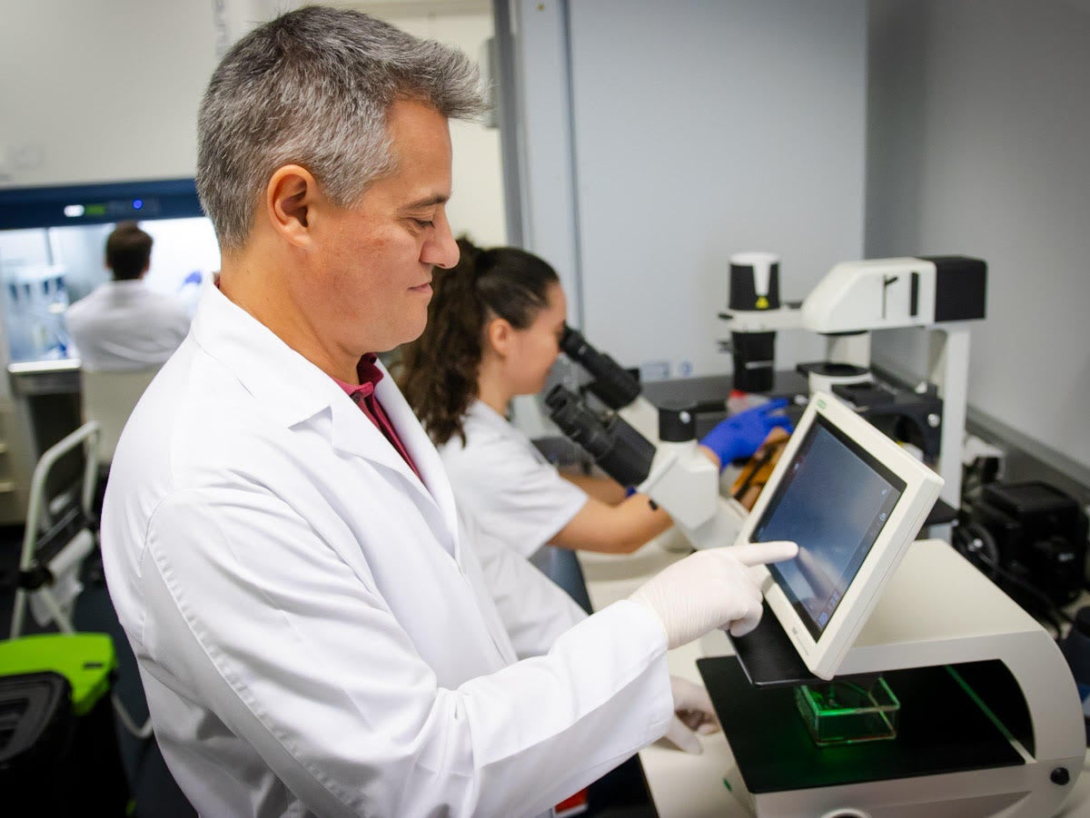 Miguel Alaminos trabaja en el laboratorio.