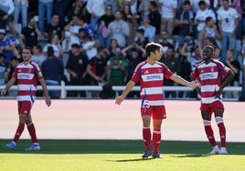 Los futbolistas del Granada, frustrados por uno de los goles del Burgos.