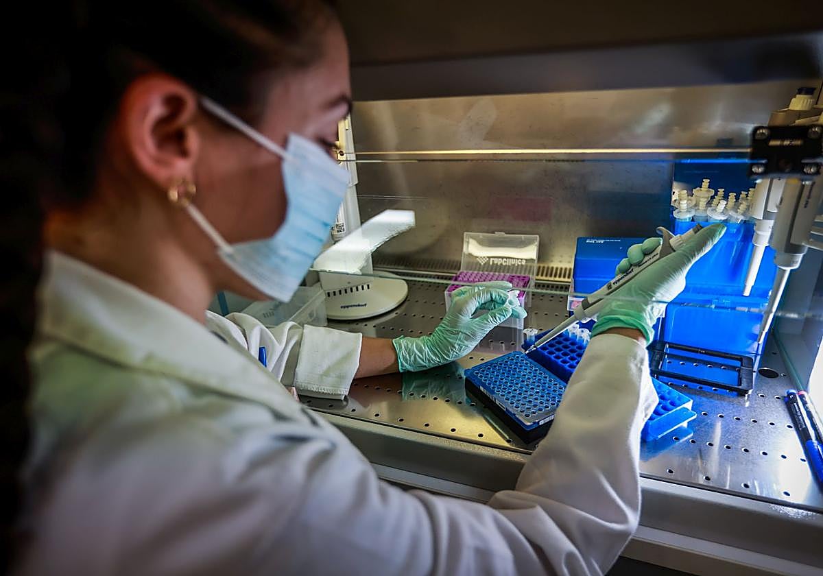 Una profesional trabaja en el laboratorio de Farmacogenética del Virgen de las Nieves.