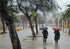 Avisos por lluvias y tormentas intensas en Andalucía.