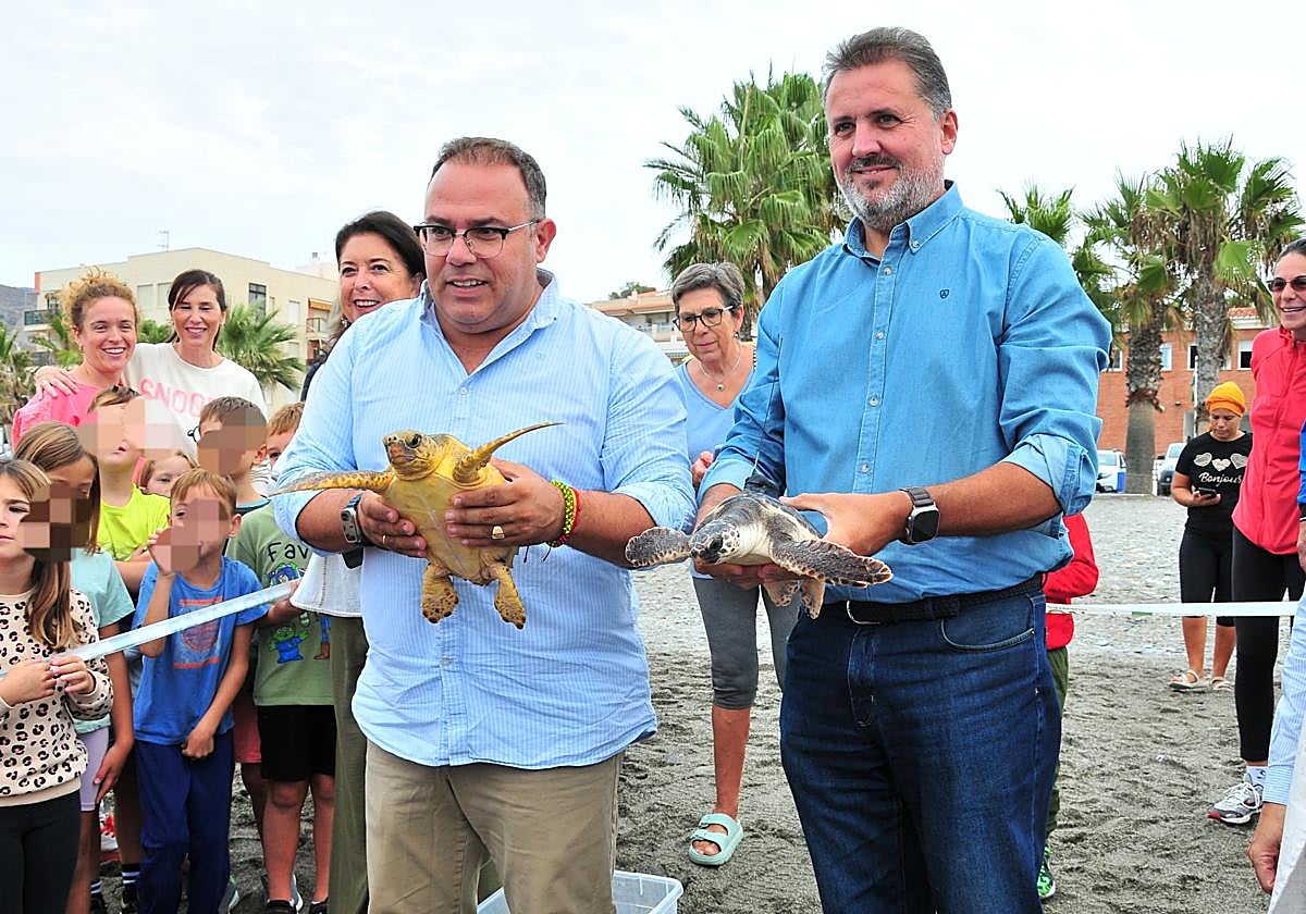 Suelta de las tortugas este viernes.