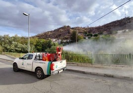 Uno de los vehículos 'pick up' de Athisa Medio Ambiente fumigando este sábado en Pinos Puente.