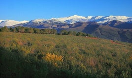 Almería celebra 25 años del Parque Nacional de Sierra Nevada con un ciclo de conferencias científicas