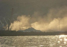 Ecologistas en Acción considera «ineficaz» la zona de bajas emisiones aprobada en la capital