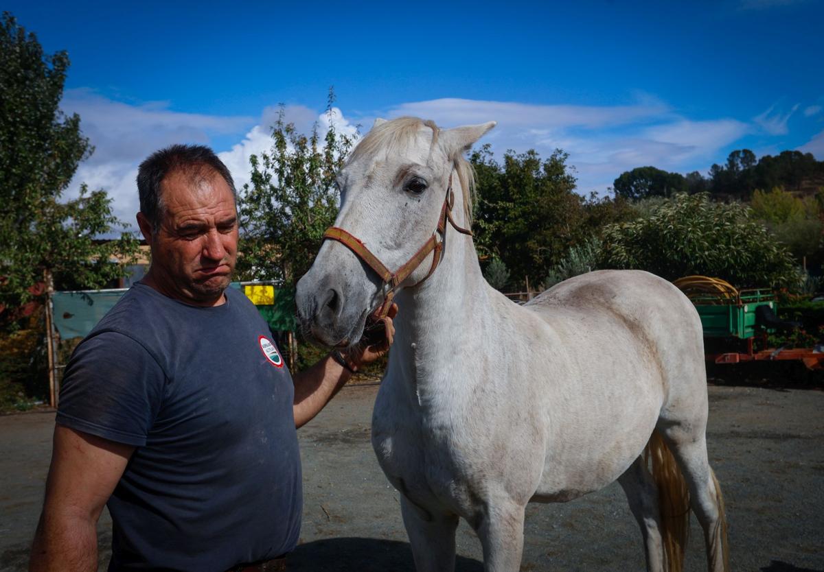 Nevado, el caballo que ha vencido al virus del Nilo: «Lo he cuidado como a un hijo»