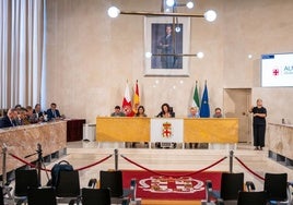 Imagen de una sesión plenaria en el Ayuntamiento de Almería.