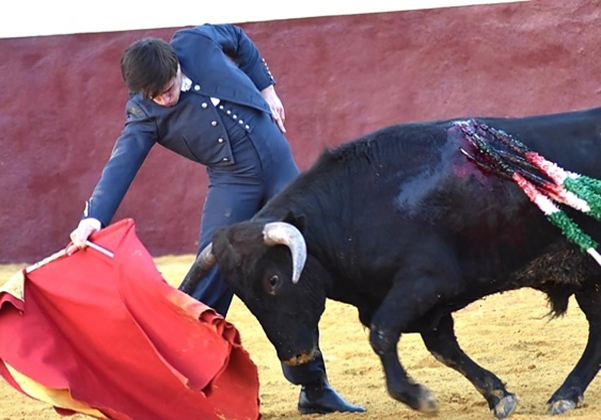 El novillero Iván Rejas en relajado derechazo