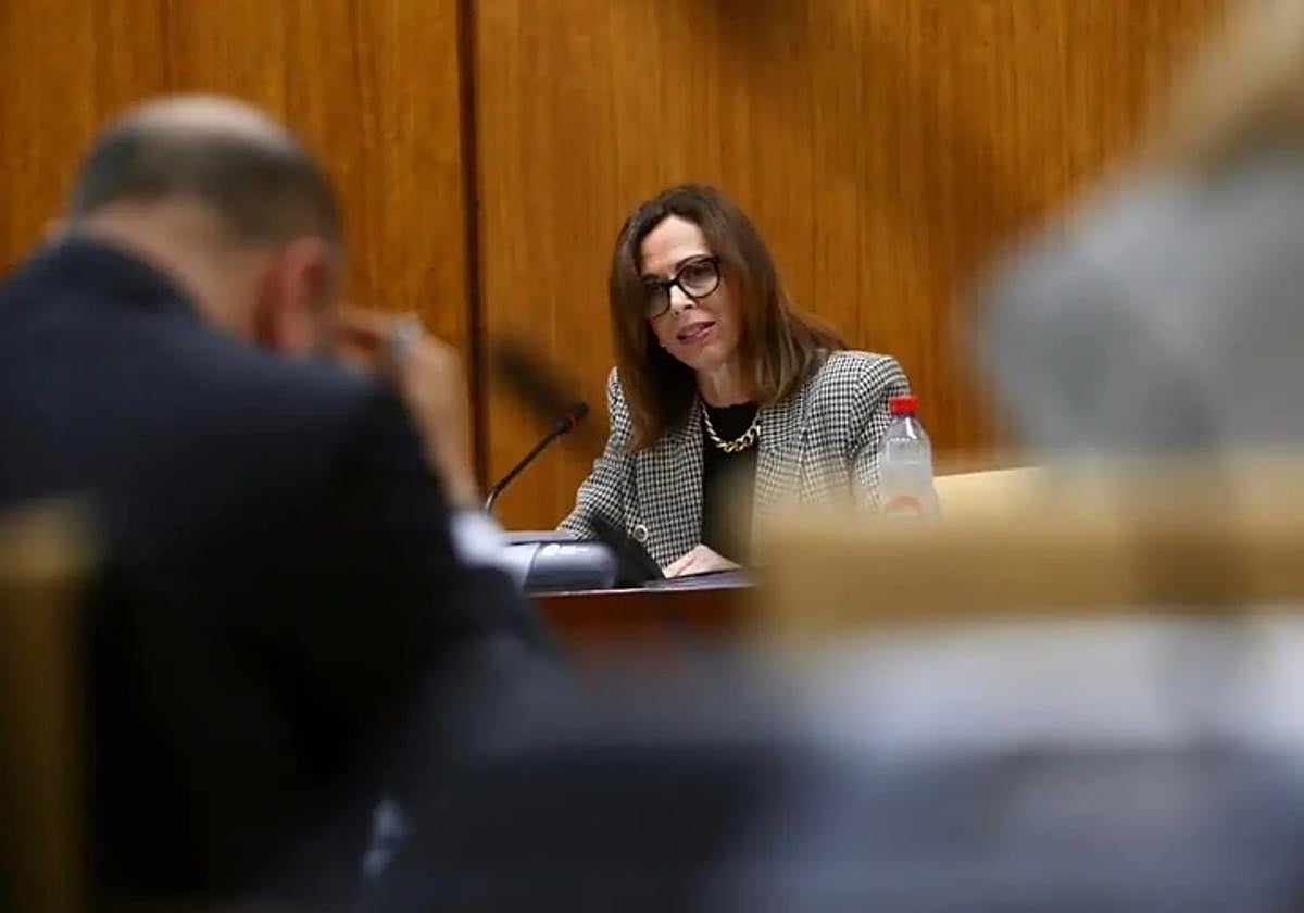 Rocío Díaz, consejera de Fomento.