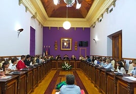 Consejo de Participación de la Infancia y la Adolescencia celebrado este miércoles en la capital.