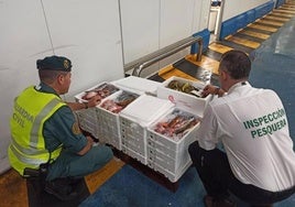 Material intervenido por agentes del Servicio de Protección de la Naturaleza.