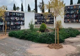 Vista del cementerio de San Fernando, en la capital jienense.