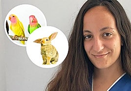 Una mascota de lo más exótico