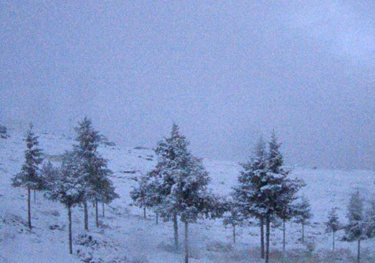 Imagen principal - Calar Alto se tiñe de blanco con la primera gran nevada del año