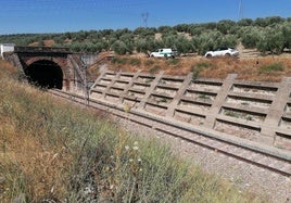 Uno de los túneles de la provincia que serán reformados para la autopista ferroviaria.