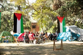 Campamento propalestino en Granada en el mes de mayo.