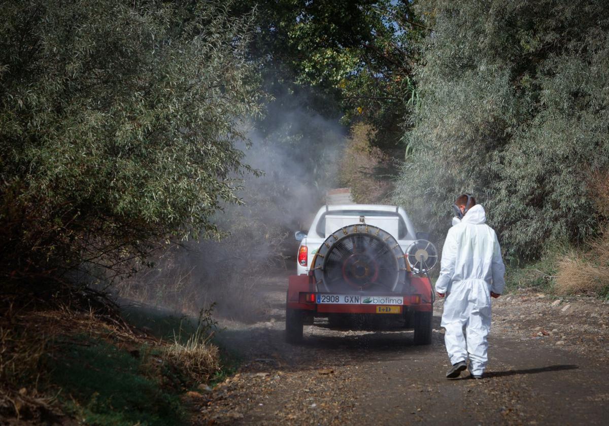 Empresa de fumigación en Alcudia de Guadix, fumigando conta el mosquito del Nilo.