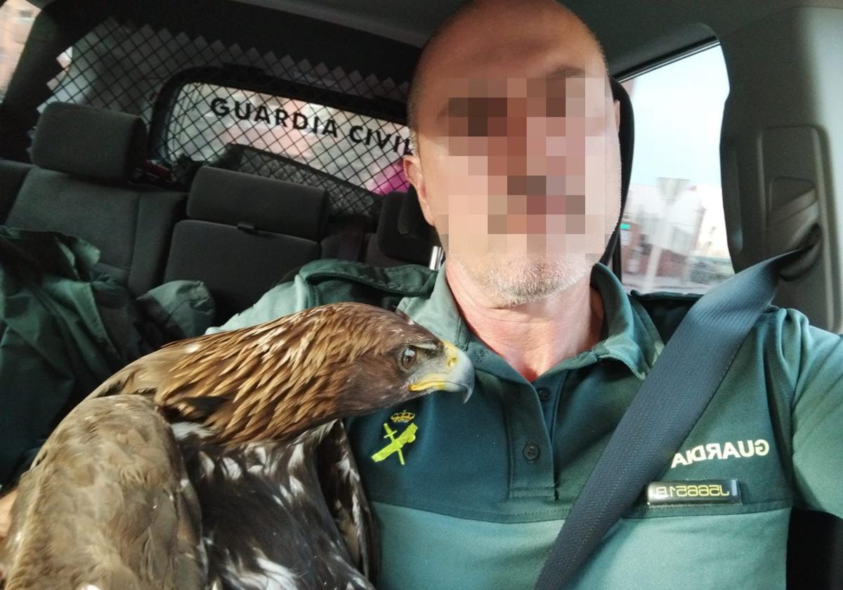 Uno de los agentes con el águila tras el rescate.