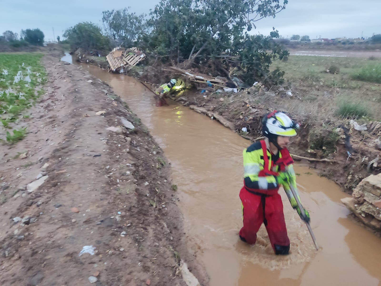 Bomberos de la ciudad de Granada, durante un rastreo para buscar desaparecidos en Paiporta.