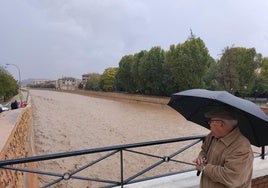 Rambla de Río Verde a su paso por el casco urbano de Guadix.