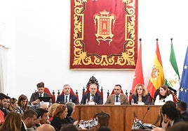 Pleno de la Diputación en Baza este lunes.