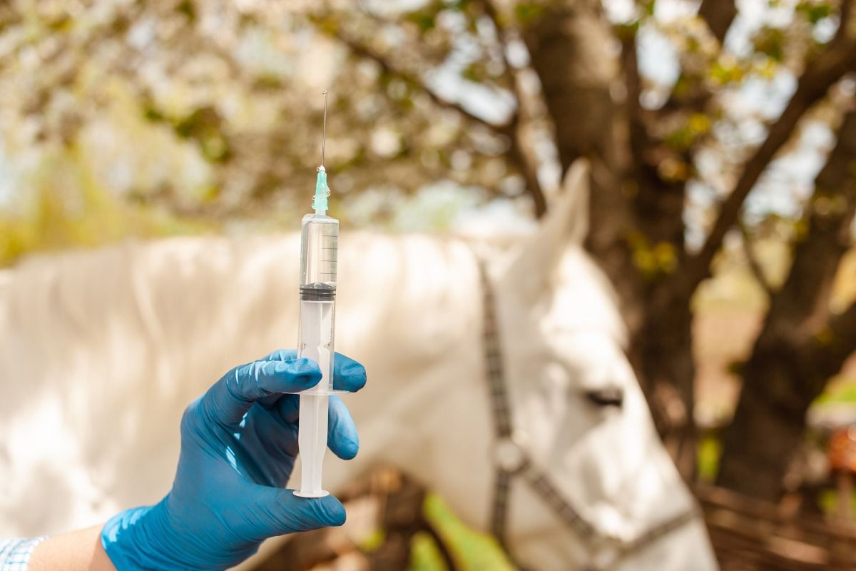 Una vacuna para proteger de la fiebre del Valle del Nilo Occidental.