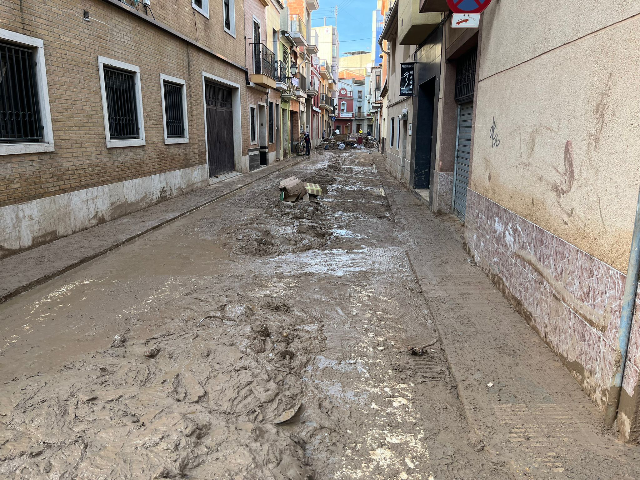 Un recorrido por Algemesí en plena labor de los voluntarios granadinos