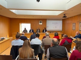 Diputación trabaja para solicitar 30 millones de euros de Fondos Europeos para siete Planes Locales