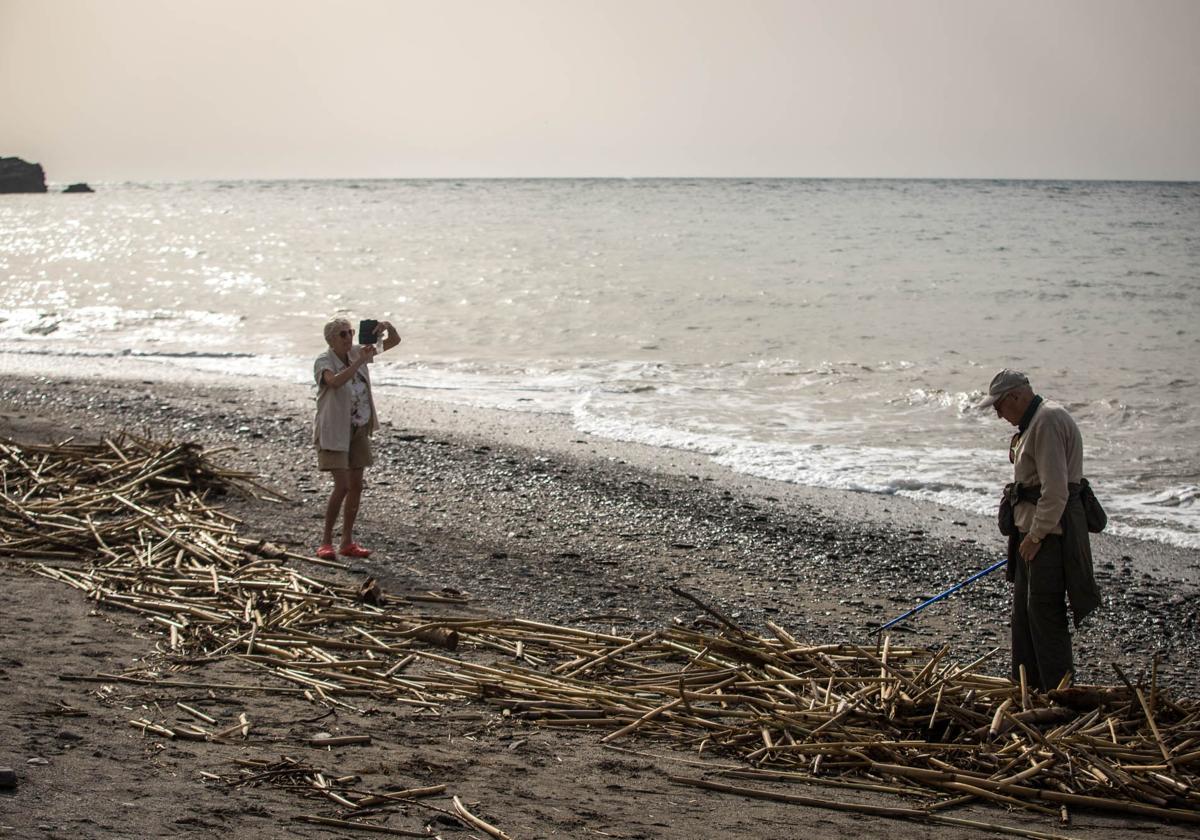 Los efectos del temporal en la Costa de Granada, en imágenes