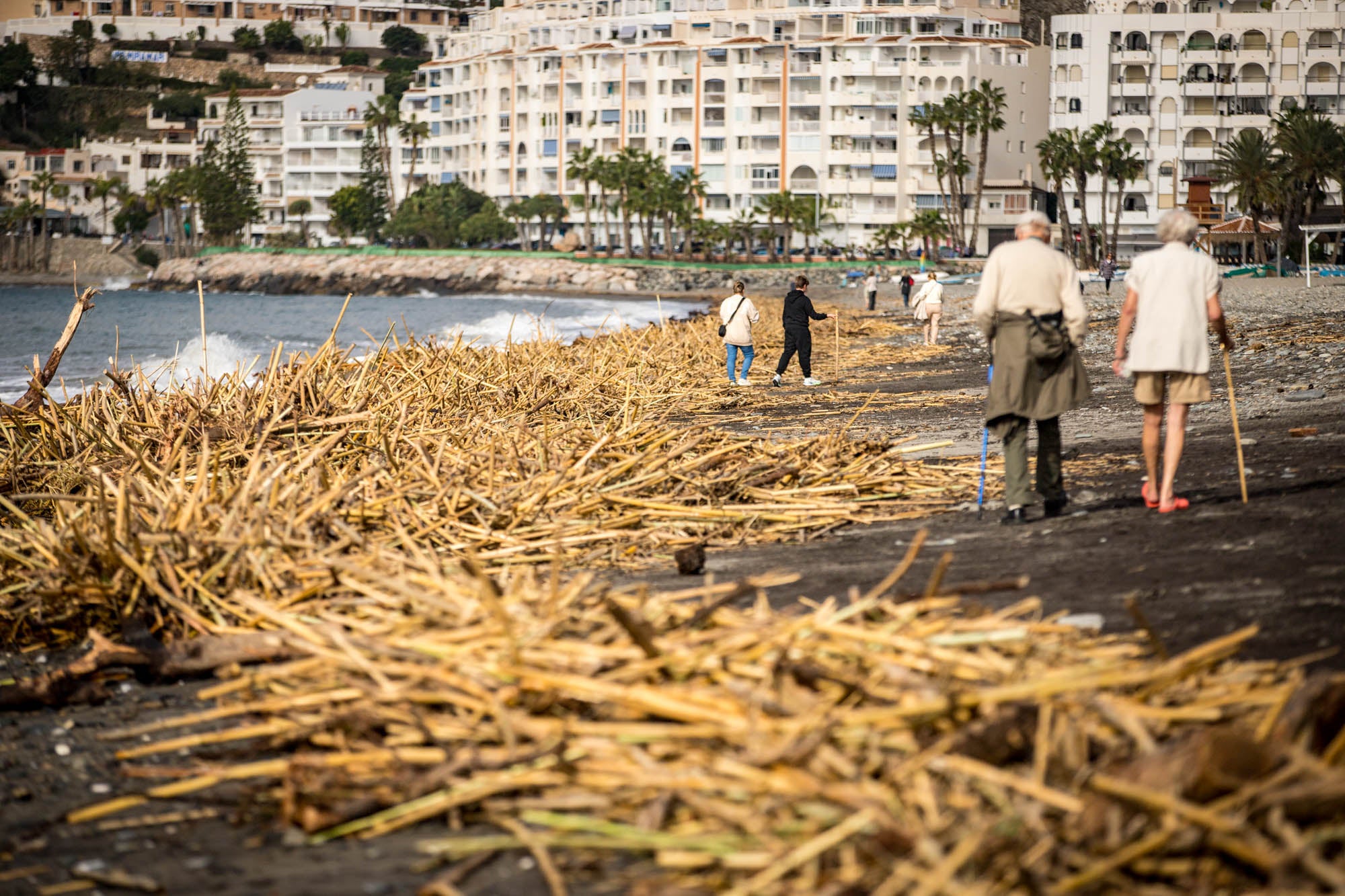 Los efectos del temporal en la Costa de Granada, en imágenes