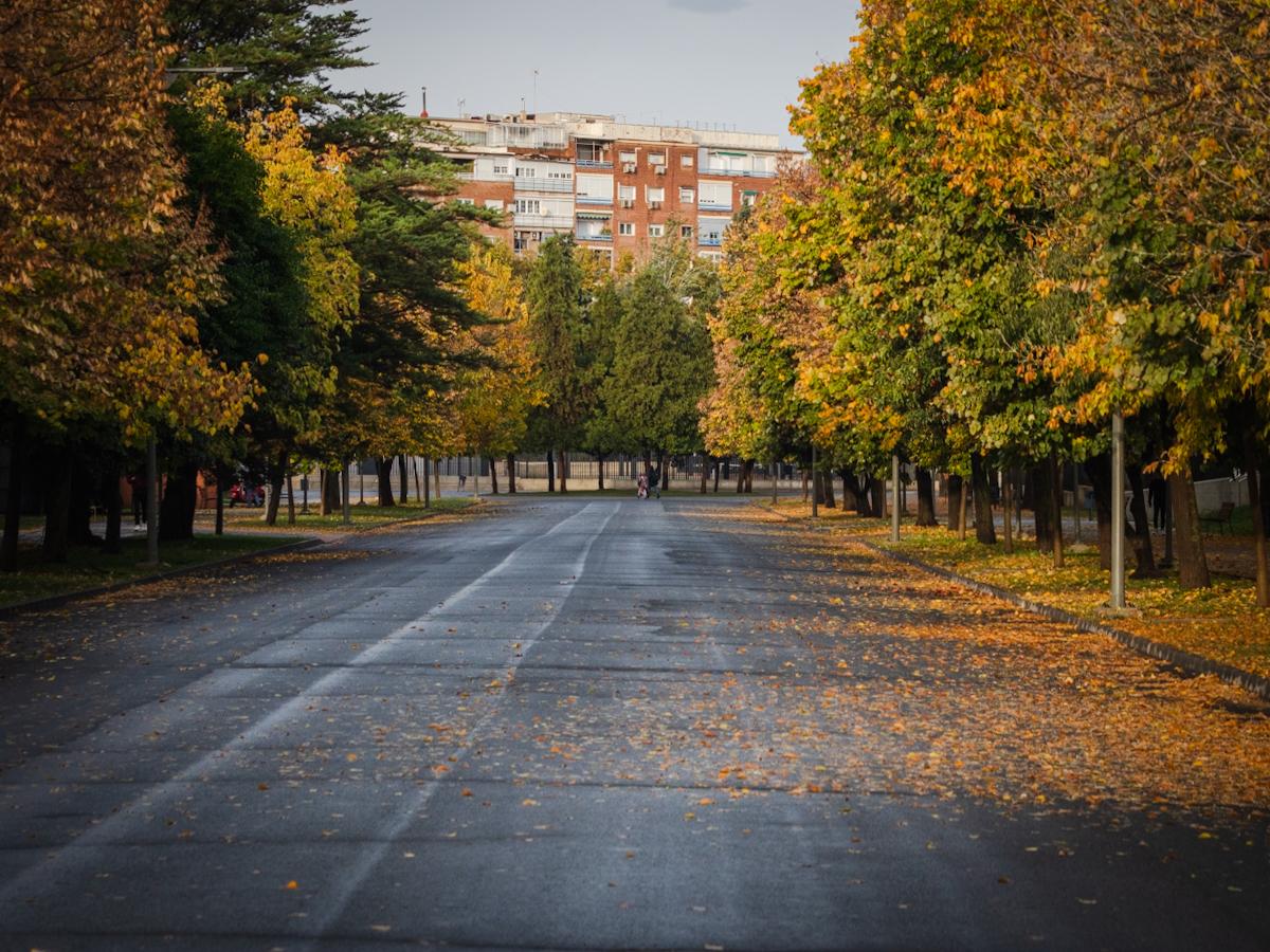 Las imágenes de Granada sin clases y sin tormentas este jueves