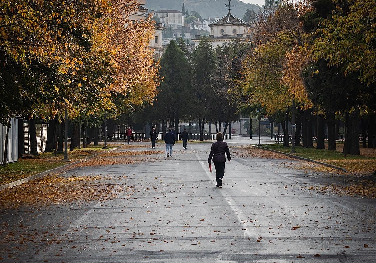 Imagen principal - Ambiente en distintos puntos de la ciudad este jueves por la mañana.