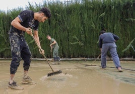 Labores de limpieza en la Finca La Reja de Santa Fe tras las inundaciones.