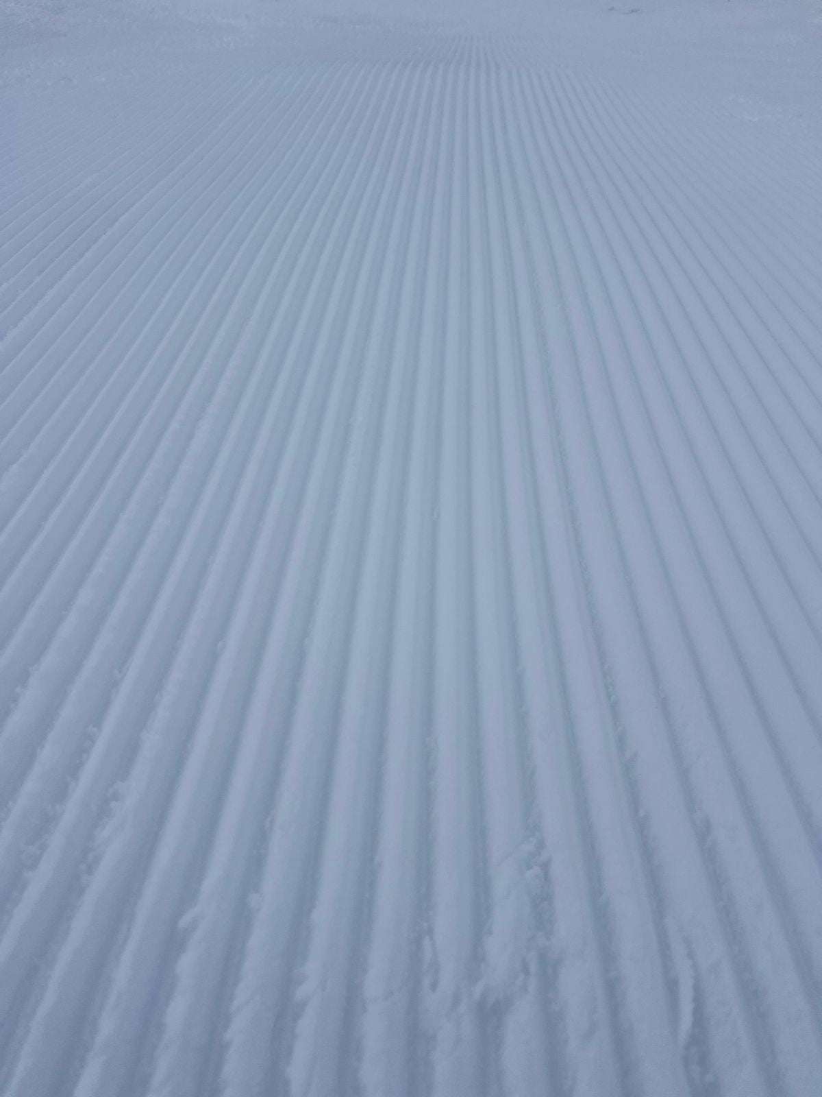 La nevada caída en la Sierra, en imágenes