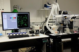 El Gobierno otorga a la UGR 11,5 millones para equipamiento científico-técnico