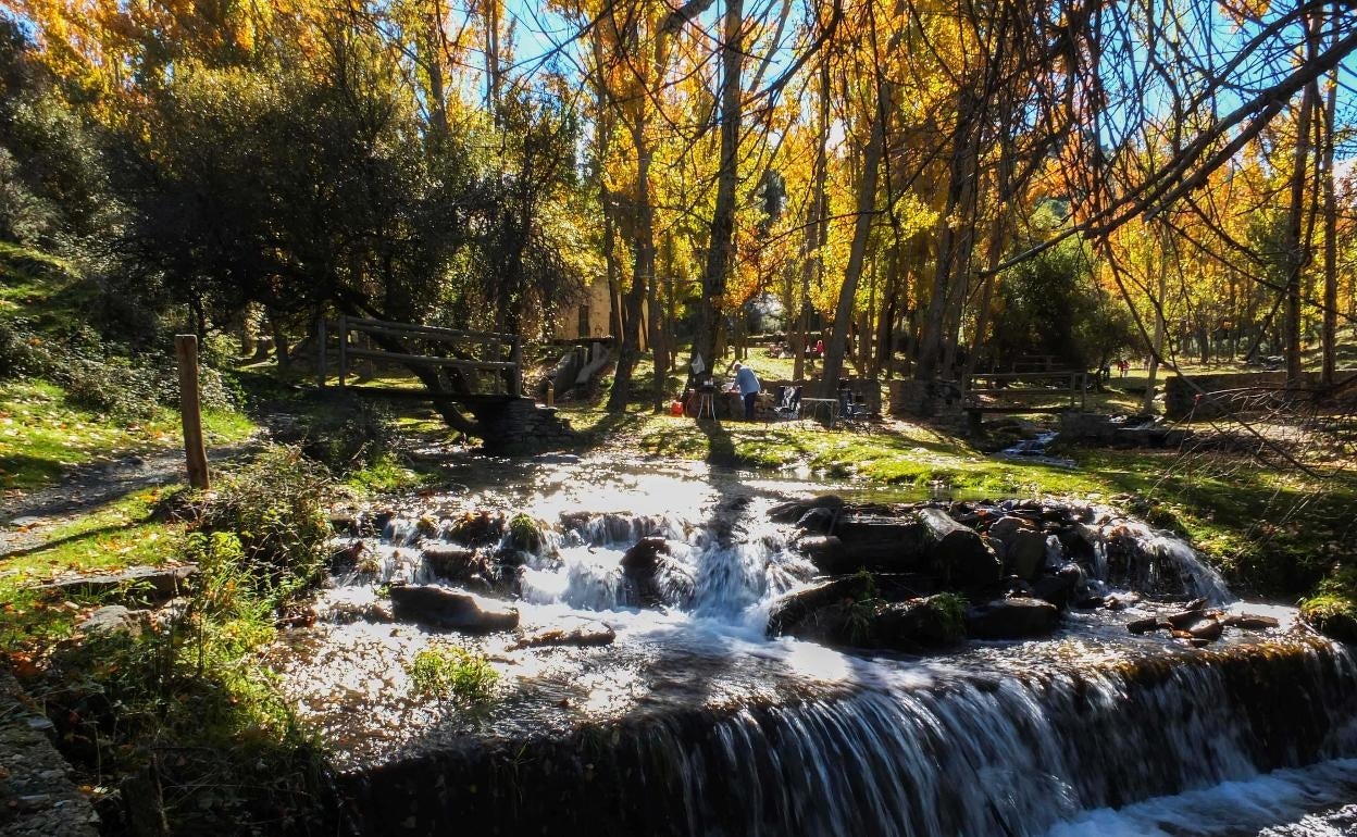 Paraje del Castañar de Jérez