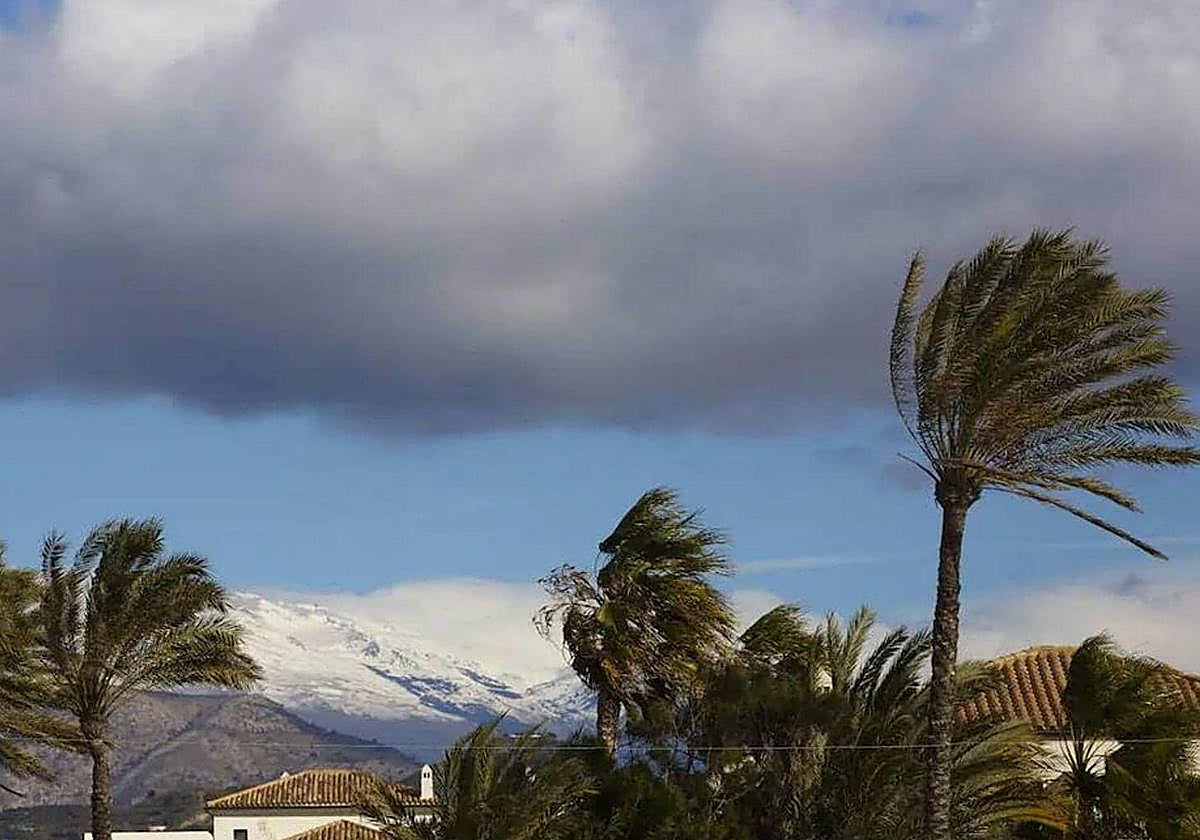 La borrasca Caetano llega a Andalucía.