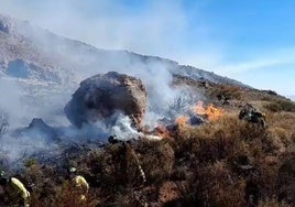 Efectivos trabajan en la zona incendiada.