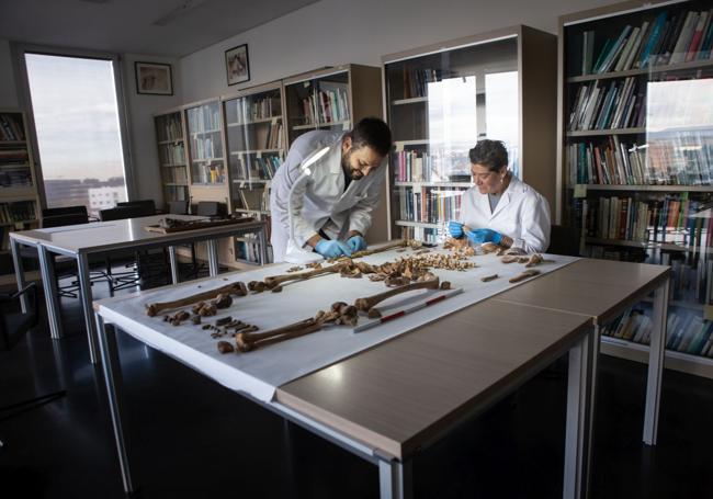 Trabajando en la biblioteca del Laboratorio de Antropología Física de la Universidad de Granada.