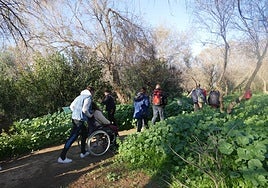Imagen de una de las actividades desarrolladas por Verdiblanca.