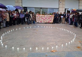 Acto oficial contra la violencia de género, en la puerta de la Subdelegación del Gobierno.