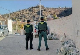 Operación en Pinos Puente hace dos semanas.