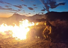 El incendio provocado por un proyectil cerca de La Legión calcina 188 hectáreas